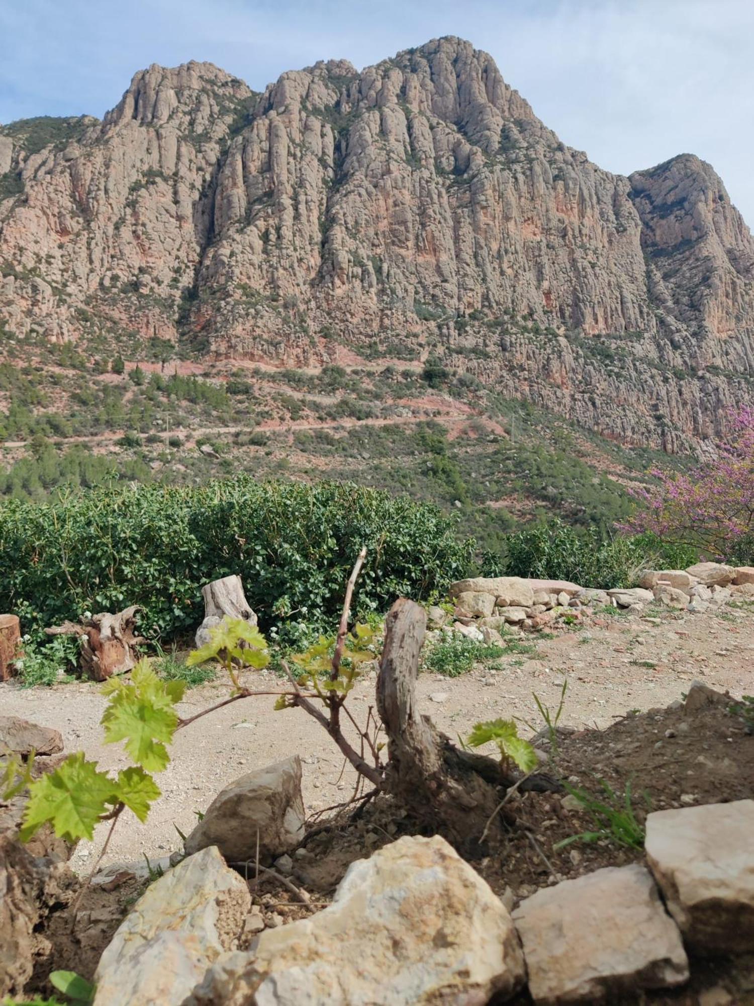 Cal Simon- Casa A Montserrat كويِباتو المظهر الخارجي الصورة